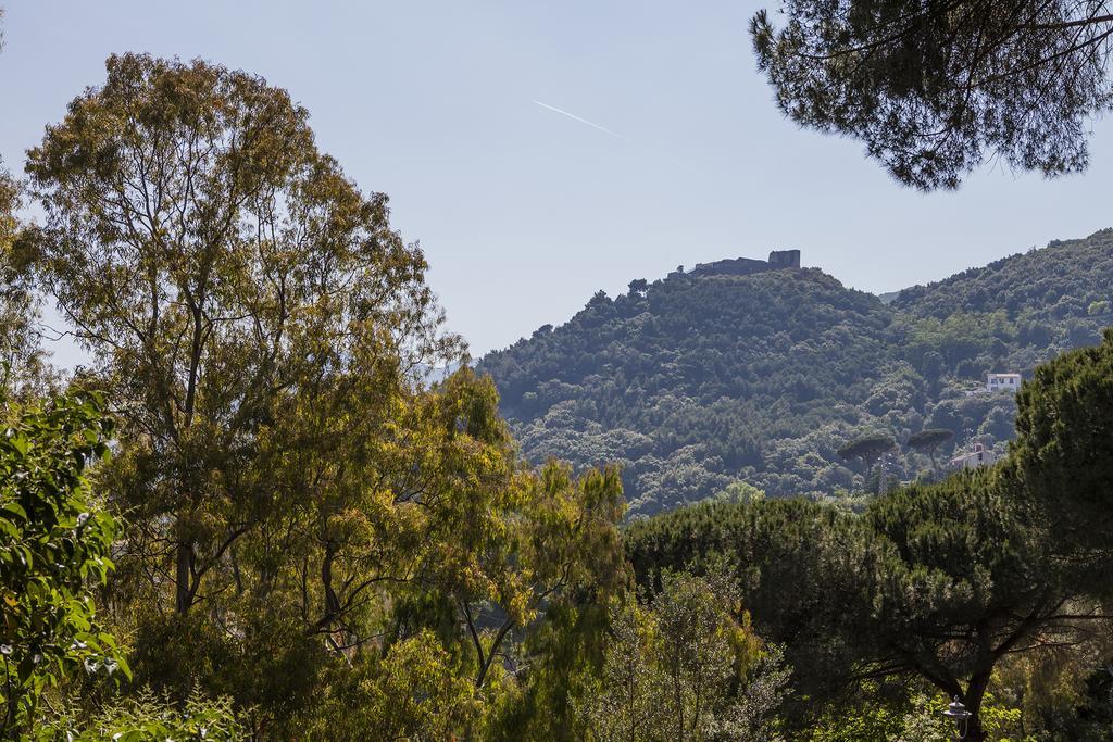 B&B La Contessa Salerno Dış mekan fotoğraf